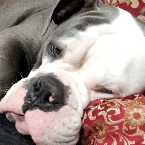 Meet your Posher, Jamie - Picture 1 of 1